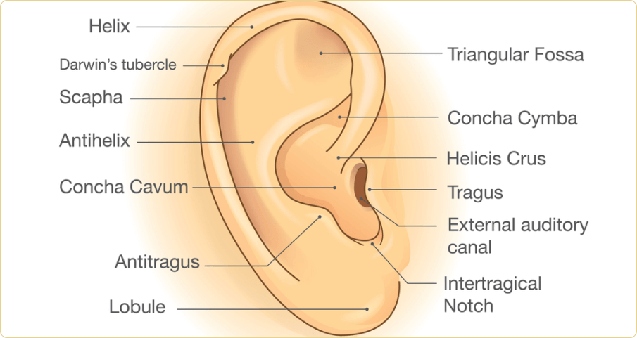 EAR