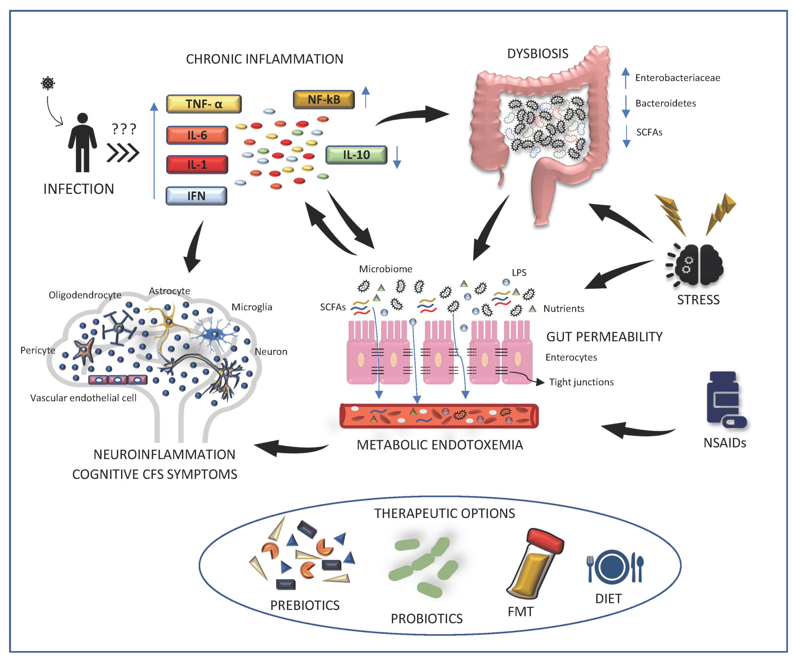 Long Covid infection