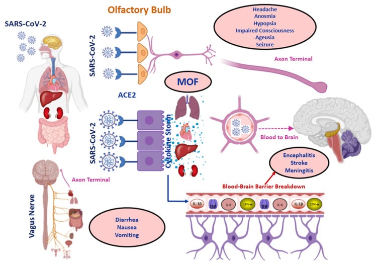 Impaired Vagal Activity in Long-COVID-19 Patients