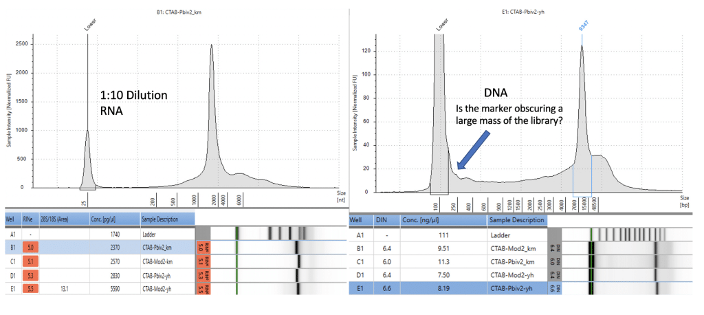 dilution RNA