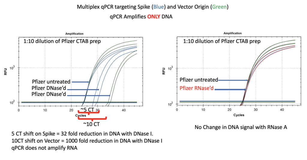 dilution of pfizer CTAB prep