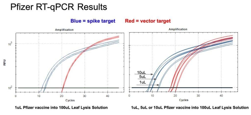 Pfizer RT-qPCR Results