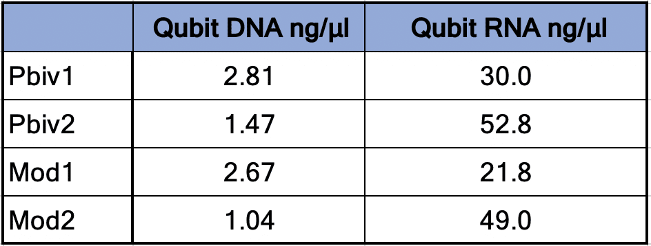 Qubit DNA ng and Qubit RNA