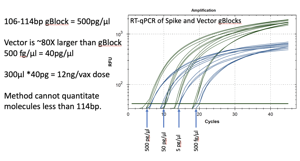 RT-qPCR of Spike and Vector gBlocks