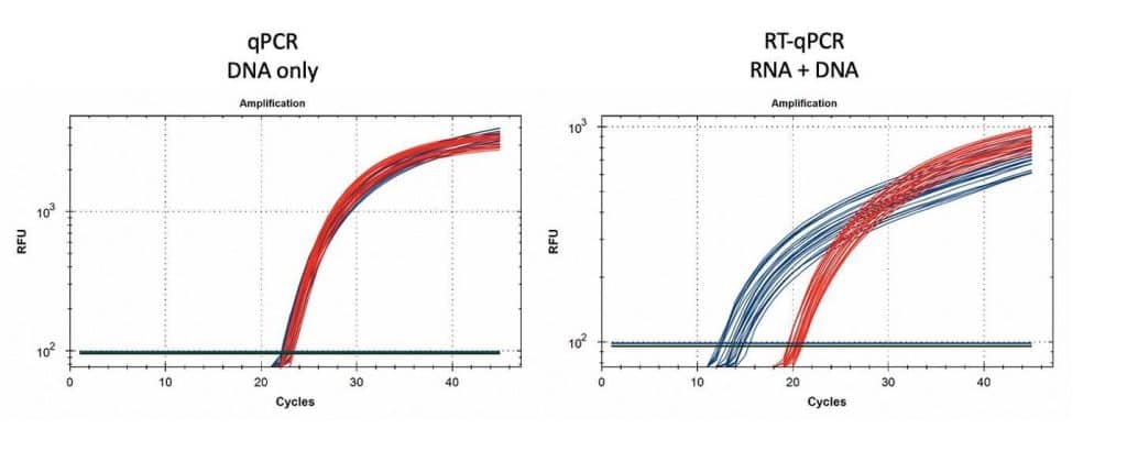 qPCR and RT-qPCR