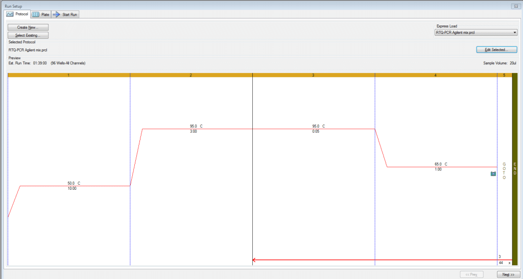 Sequences of amplicons for gBlock Positive Controls