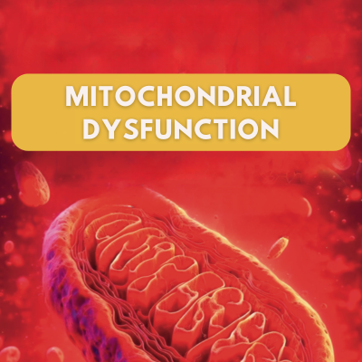 Mitochondrial dysfunction